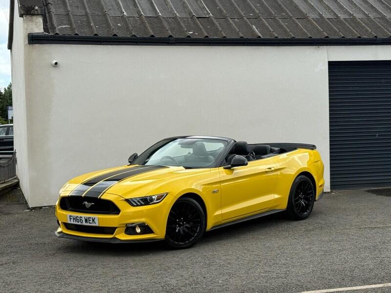 Ford Mustang view 2