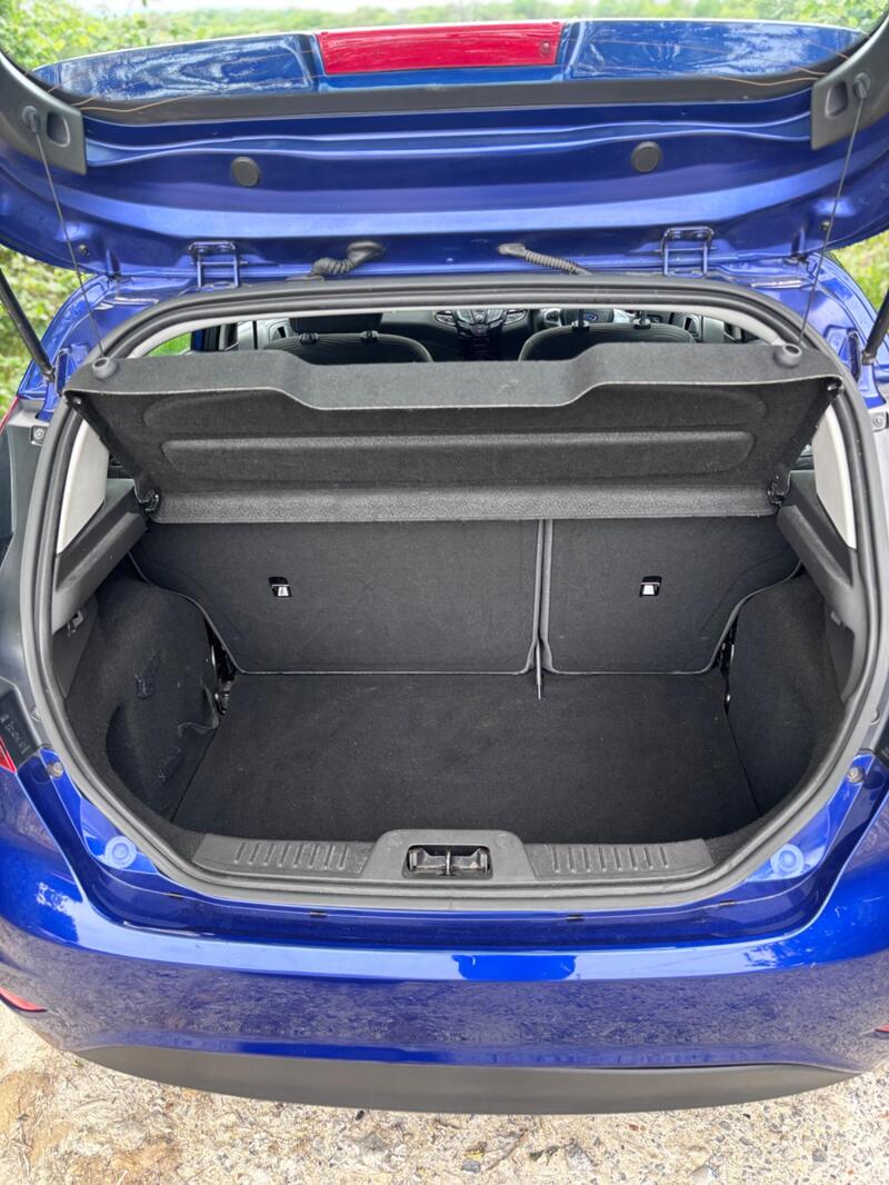 2014 Ford Fiesta — photo 26