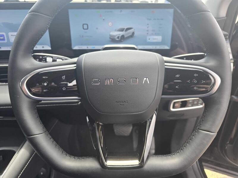 Steering Wheel