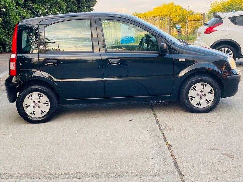 Panda