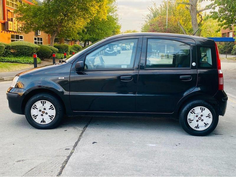 Panda