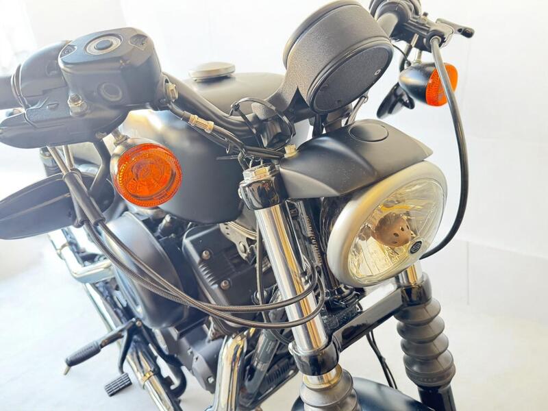 2015 Harley-Davidson Sportster - AutoTrader Import