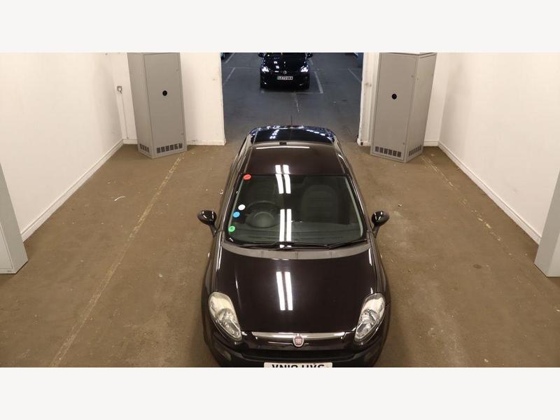 Punto Evo