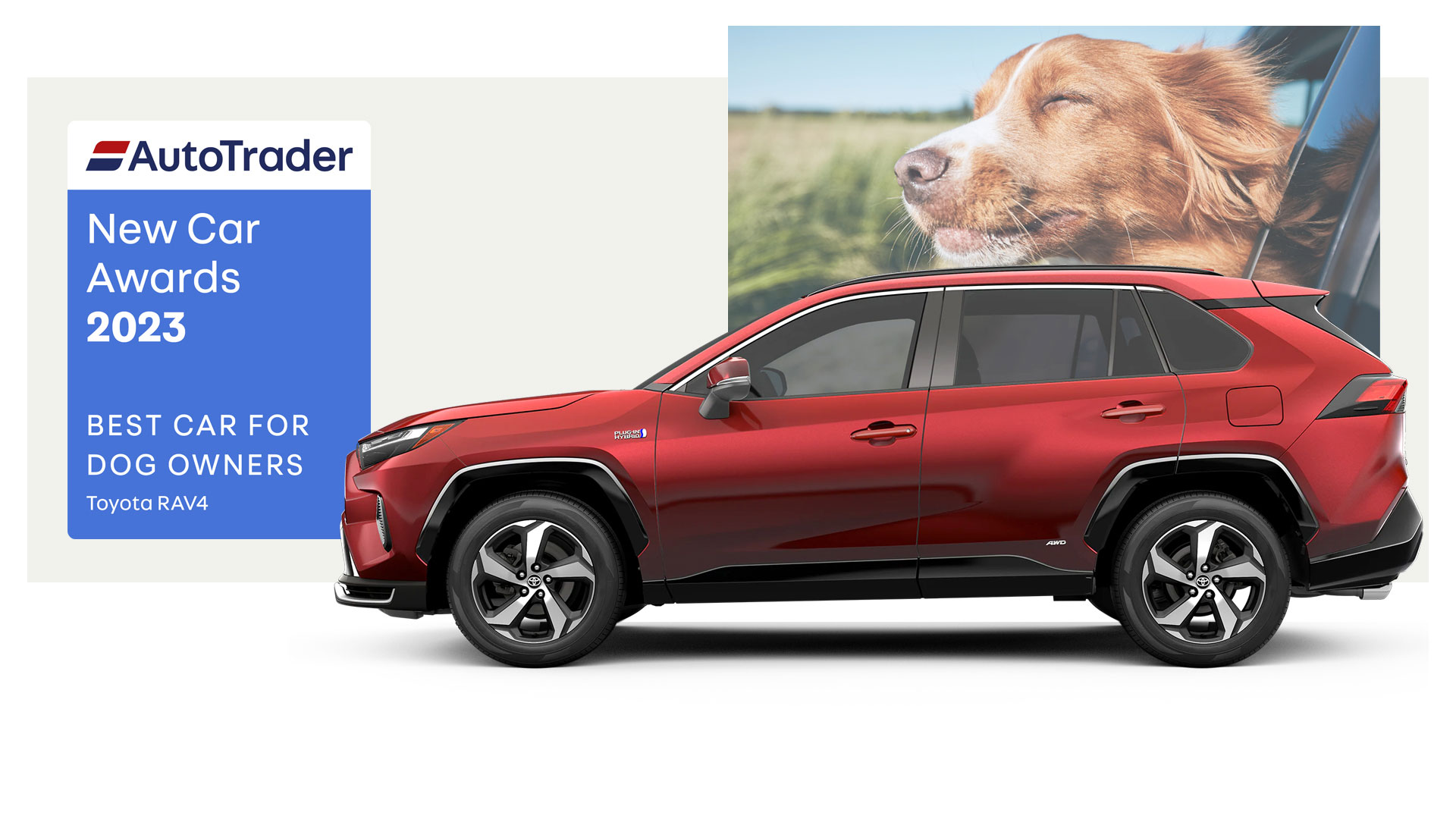 Best Car For Dogs Wallpaper For Desktop
