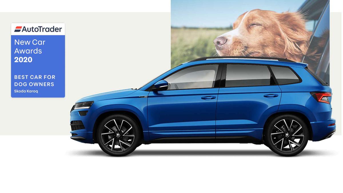 Skoda Karoq, the Best Car for Dog Owners 2020