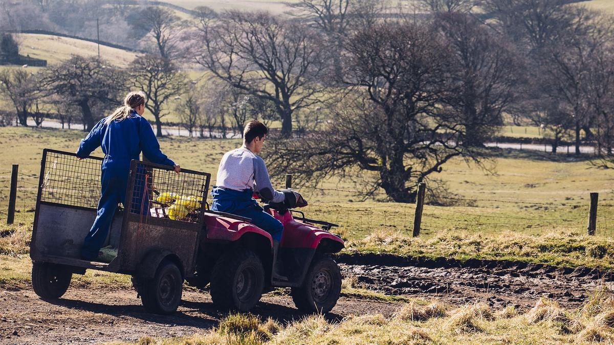 How to Prevent Agricultural Theft How to Prevent Agricultural Theft