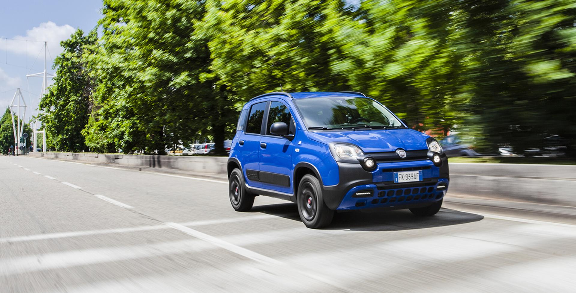 Fiat Panda  image