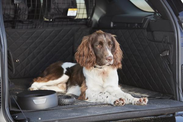 The Land Rover Discovery has a boot perfect for bigger dogs