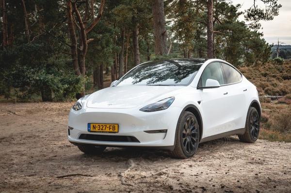 White Tesla Model Y in front of trees