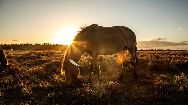 Photograph courtesy of VisitBritain