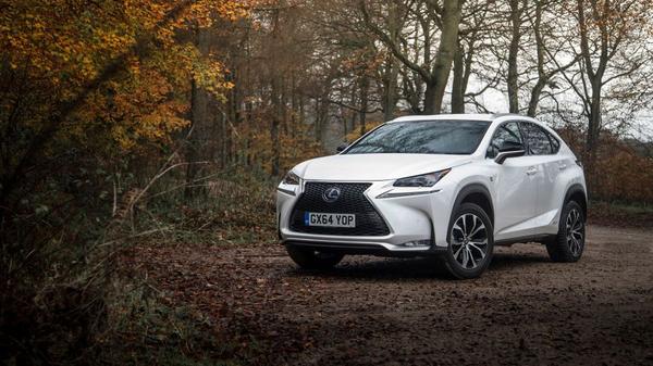 White Lexus NX 300h Hybrid parked in a woodland