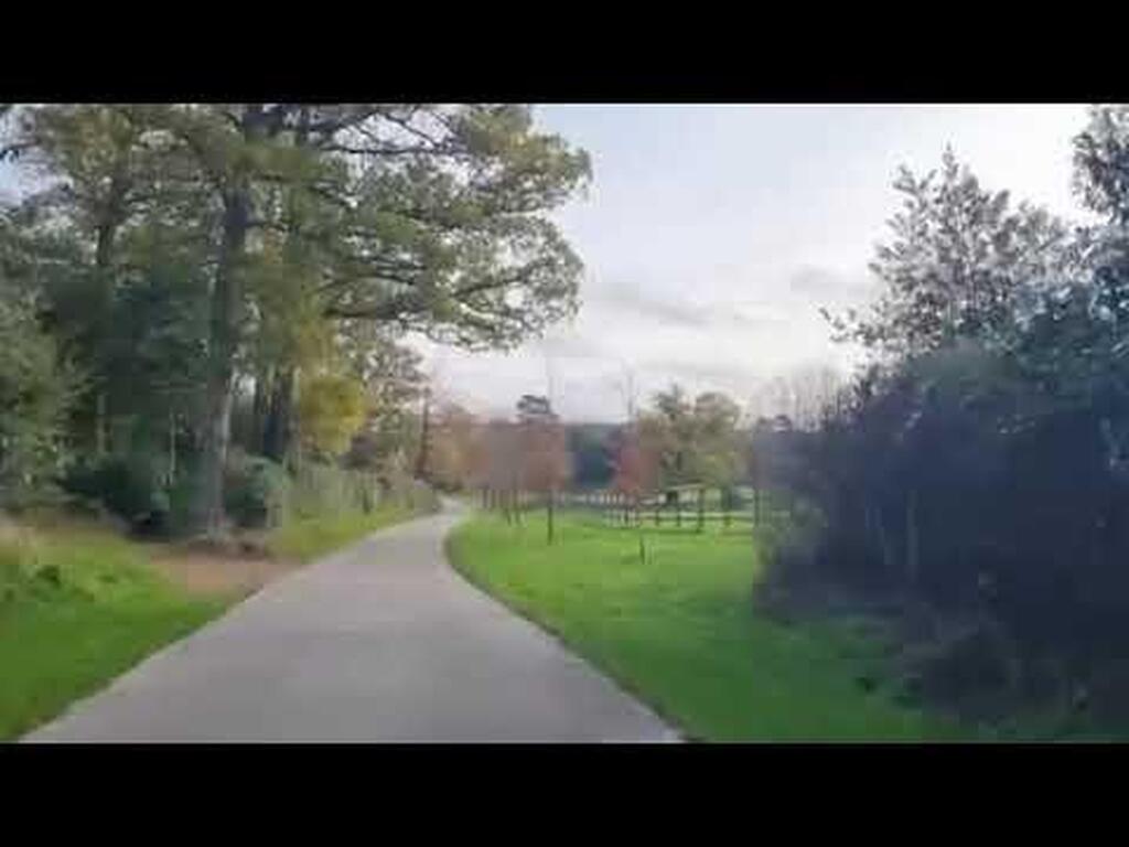 Jamjar Cars Car dealership in St. Albans AutoTrader