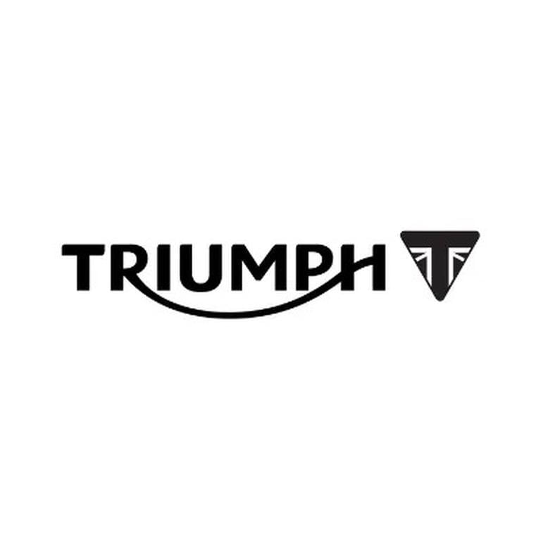 TRIUMPH logo