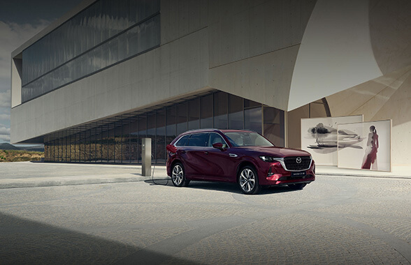 The beauty of bold elegance