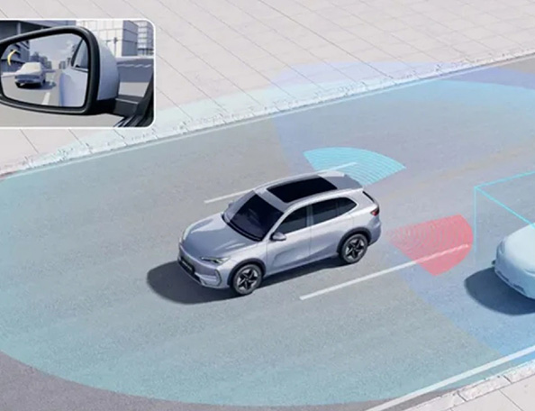 BLIND SPOT DETECTIONL