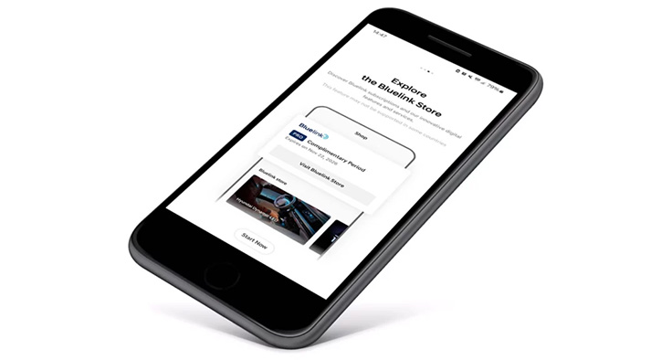 Bluelink Connected Car Services.