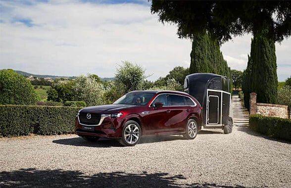 Powerful towing capacity