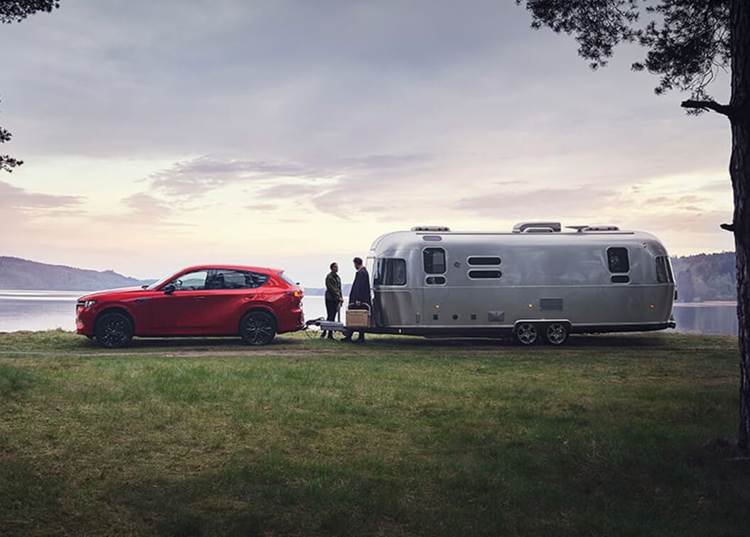 THE ELEGANCE OF STRENGTH