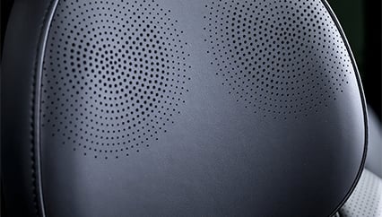 Sony® surround sound system + Headrest Speakers