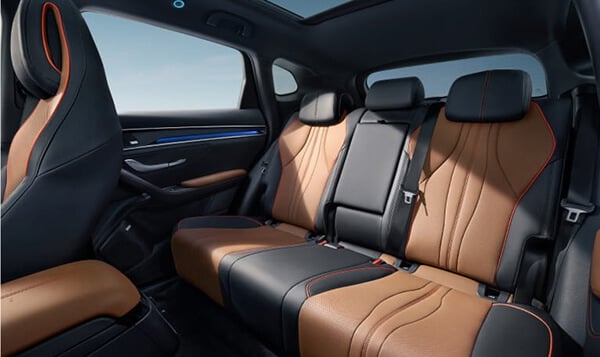 Generous Rear Seating