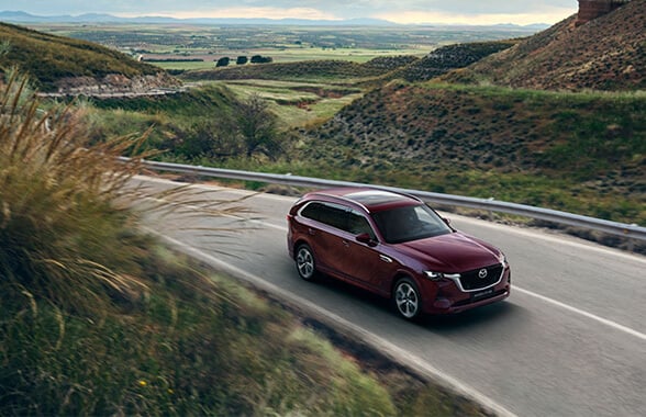 Kinematic posture control