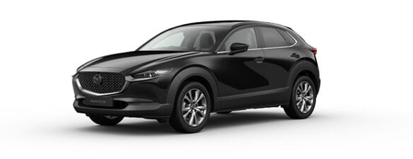 Diesel Mild Hybrid (MHEV)