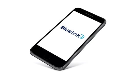 Santa Fe Bluelink Connectivity