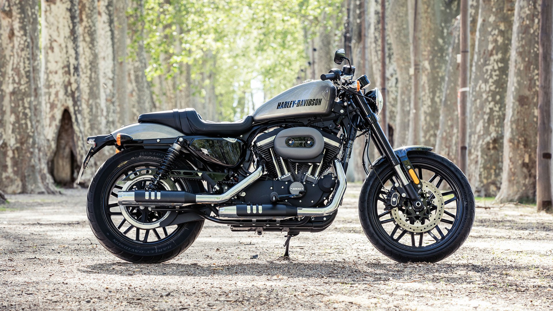 Harley-Davidson Roadster Custom/Roadster (2016 - ) review | AutoTrader