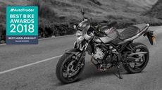 Suzuki SV650X Naked Suzuki SV650X Naked